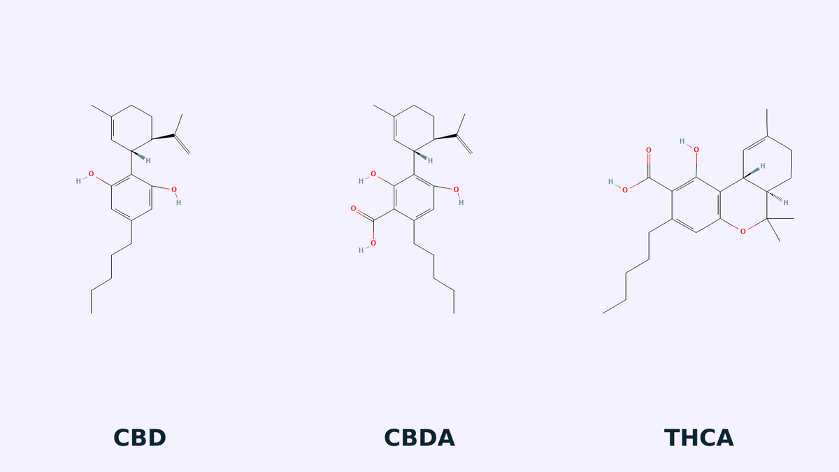 Estructuras químicas de CBD, CBDA y THCA