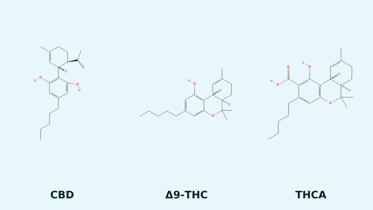 Estructuras químicas de CBD, Δ9-THC y THCA
