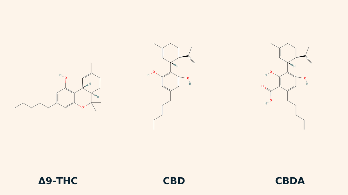 Estructuras químicas de Δ9-THC, CBD y CBDA