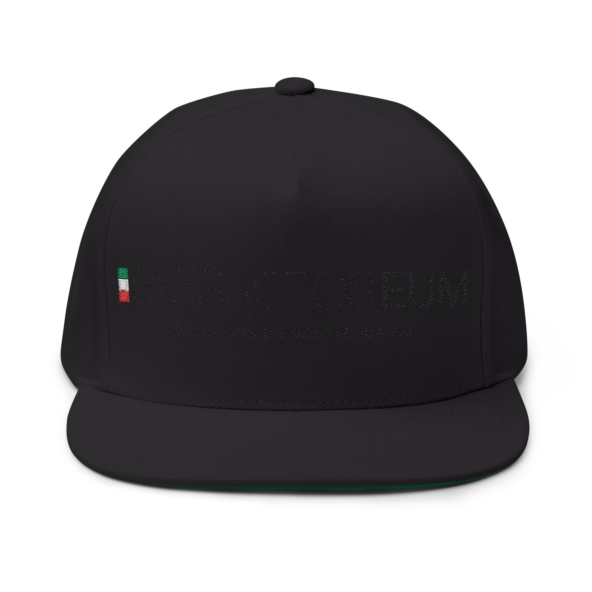 Gorra plana con visera bordada y elegante - Extractos EUM
