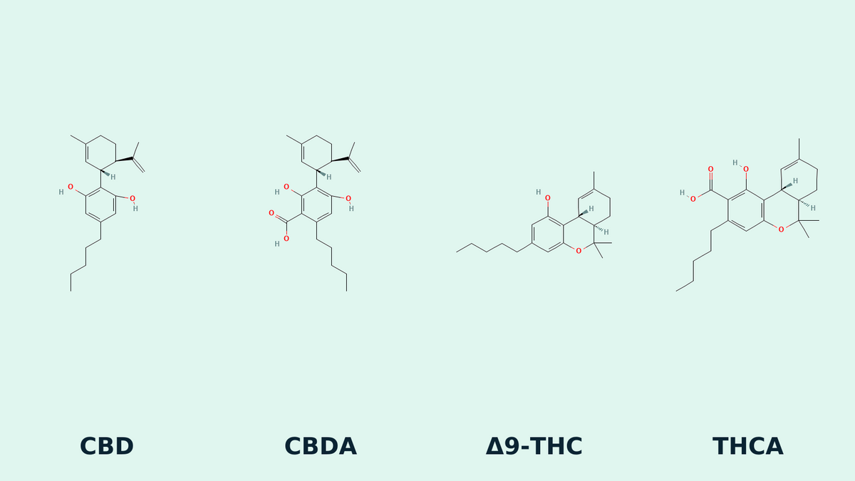 Estructuras químicas de CBD, CBDA, Δ9-THC y THCA