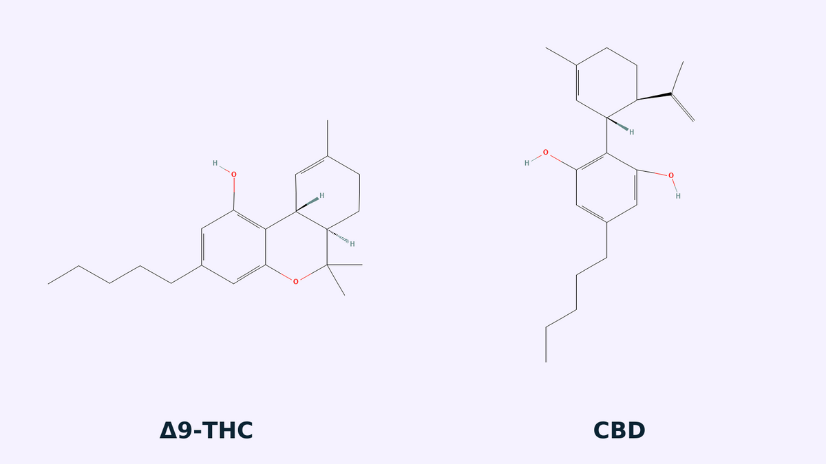 Estructuras químicas de Δ9-THC y CBD