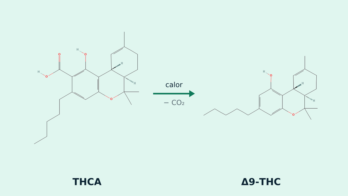 Decarboxilación: con el calor, el THCA pierde CO₂ y se convierte en Δ9-THC